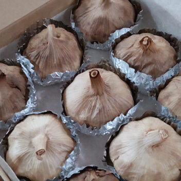 長生きの素・黒にんにく　9玉入